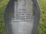 image of grave number 50858